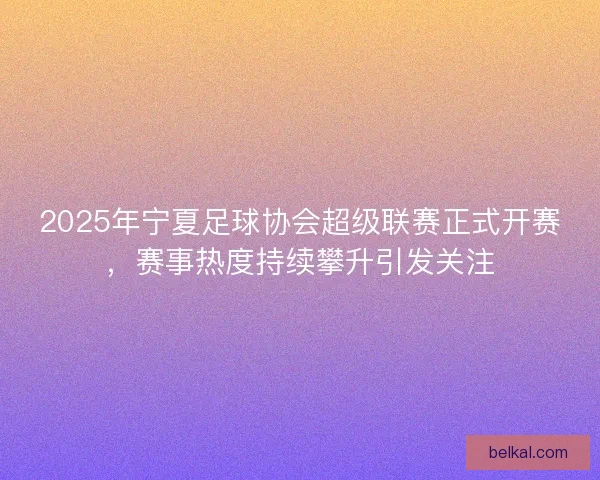 2025年宁夏足球协会超级联赛正式开赛，赛事热度持续攀升引发关注