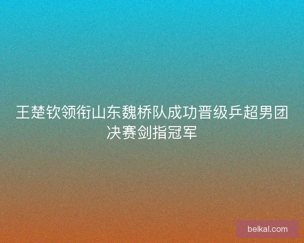 王楚钦领衔山东魏桥队成功晋级乒超男团决赛剑指冠军