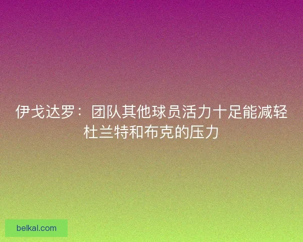 伊戈达罗:团队其他球员活力十足能减轻杜兰特和布克的压力 伊戈达罗:团队其他球员活力十足能减轻杜兰特和布克的压力