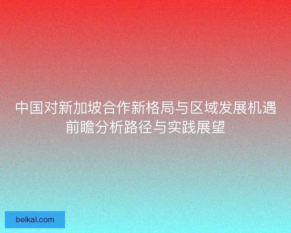 中国对新加坡合作新格局与区域发展机遇前瞻分析路径与实践展望 中国对新加坡合作新格局与区域发展机遇前瞻分析路径与实践展望